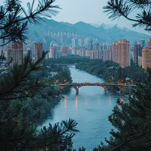 有电脑可以做什么产业